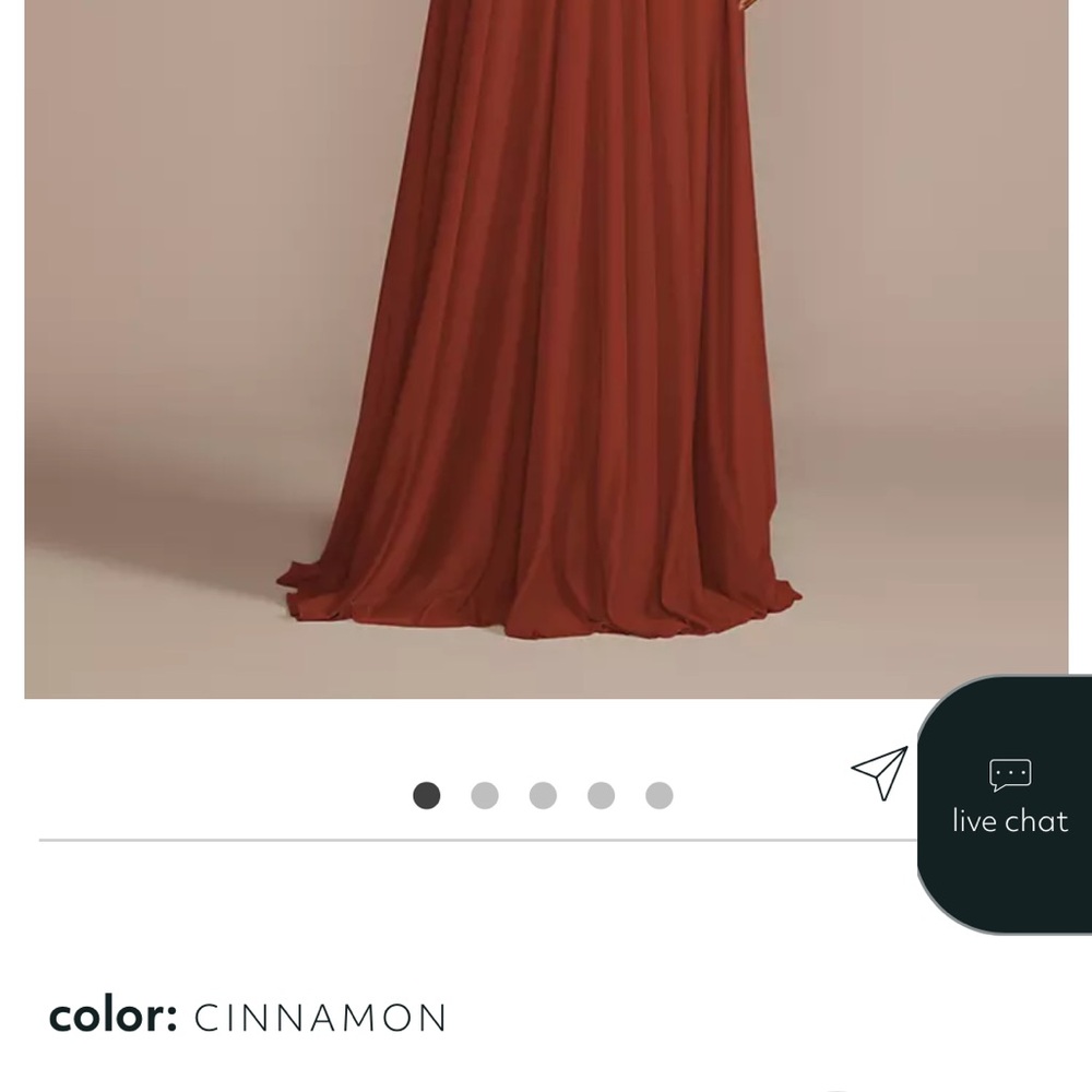 Elegant Bridesmaids Dress - Picture 3 of 3